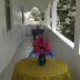 Sonstige
