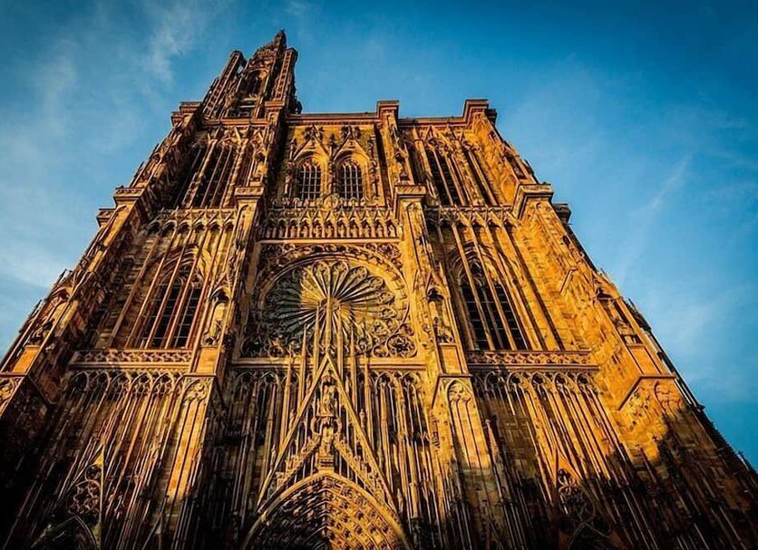 Sonstige Foto