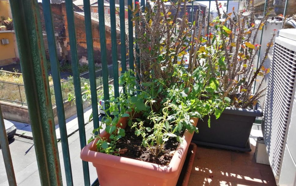 Balkon Foto