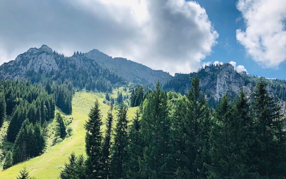 Außenansicht Foto