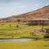 Golfplatz