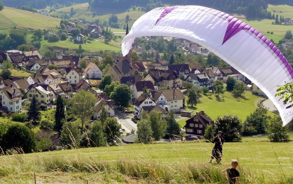 Sonstige Foto