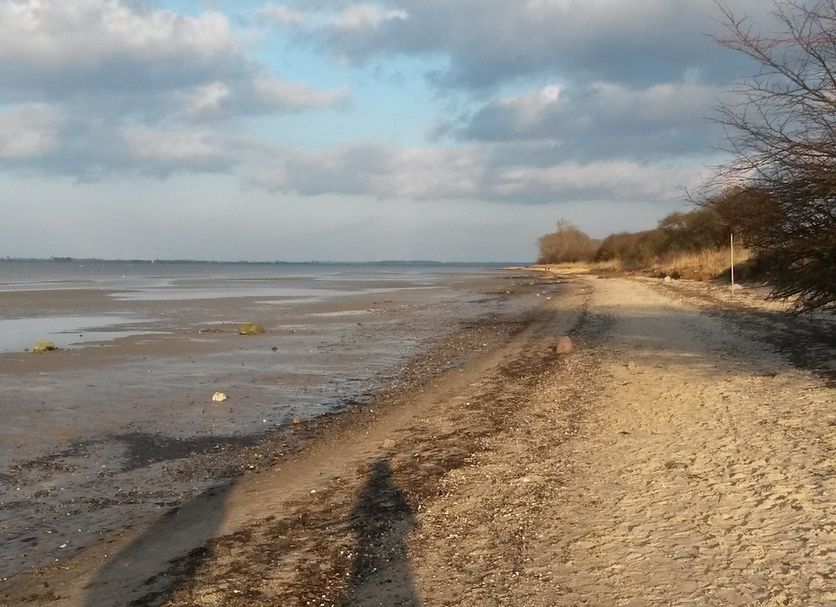 Strand Foto