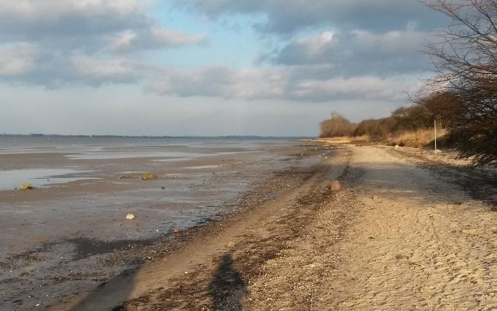 Strand Foto