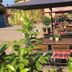 Innenhof
