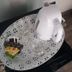 Zimmerausstattung