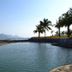 Sonstige