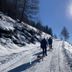 Sonstige