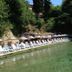 Sonstige