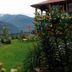 Sonstige
