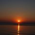 Sonstige