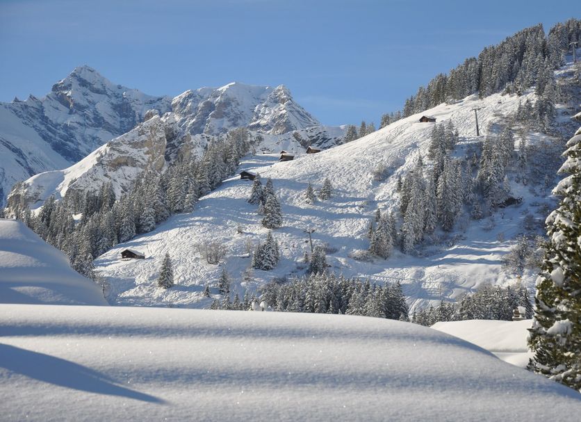 Außenansicht Foto