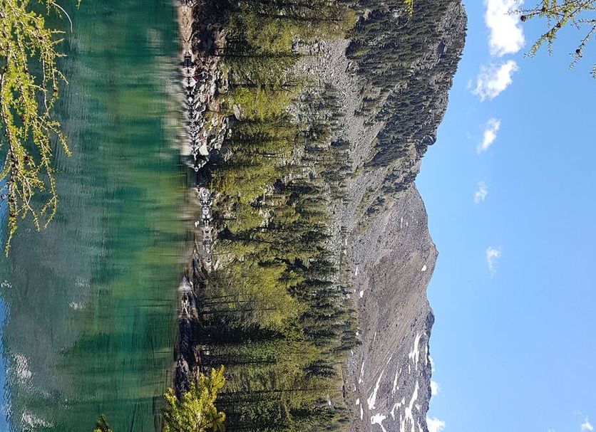 Sonstige Foto