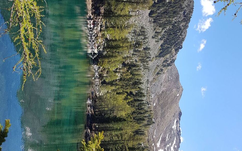 Sonstige Foto
