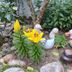 Sonstige