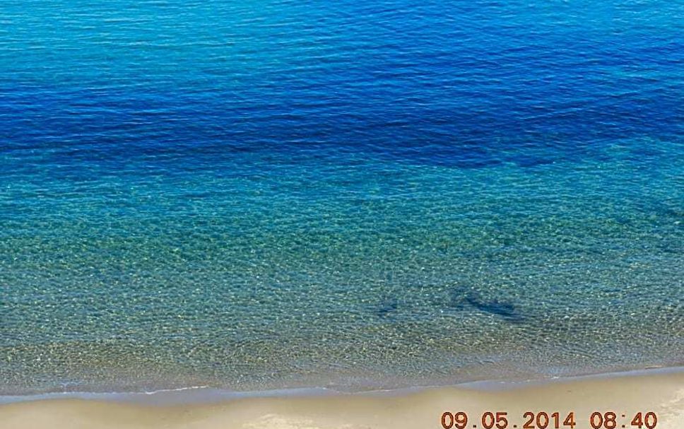 Strand Foto
