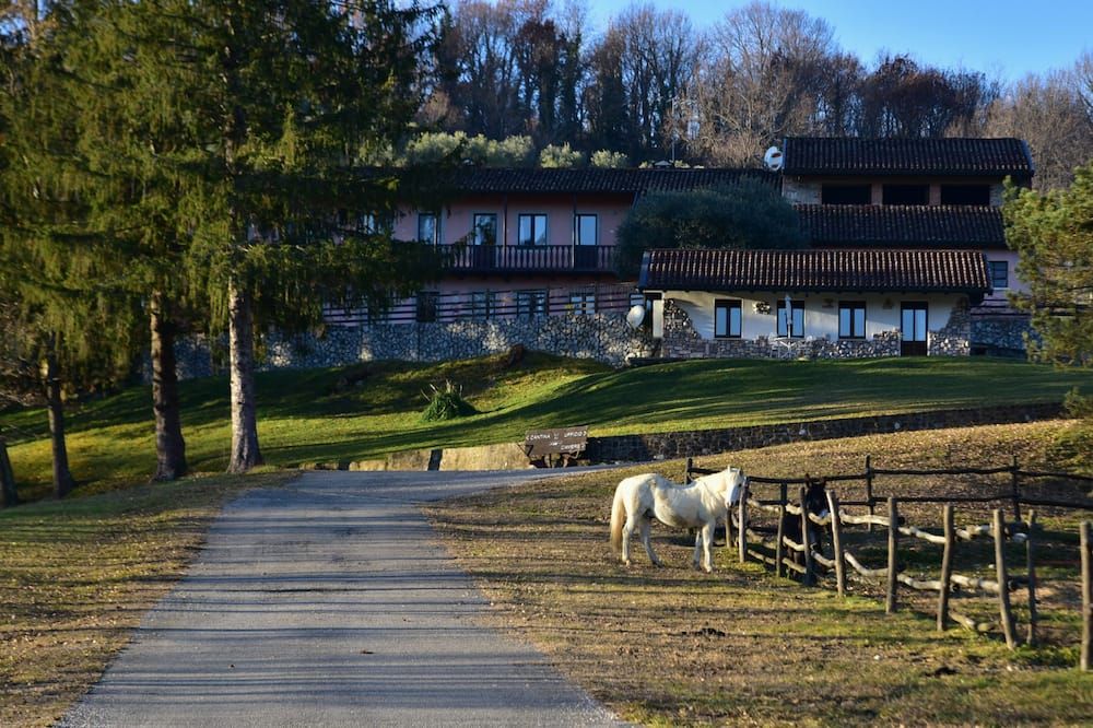 Sonstige