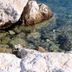 Sonstige