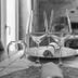 Sonstige