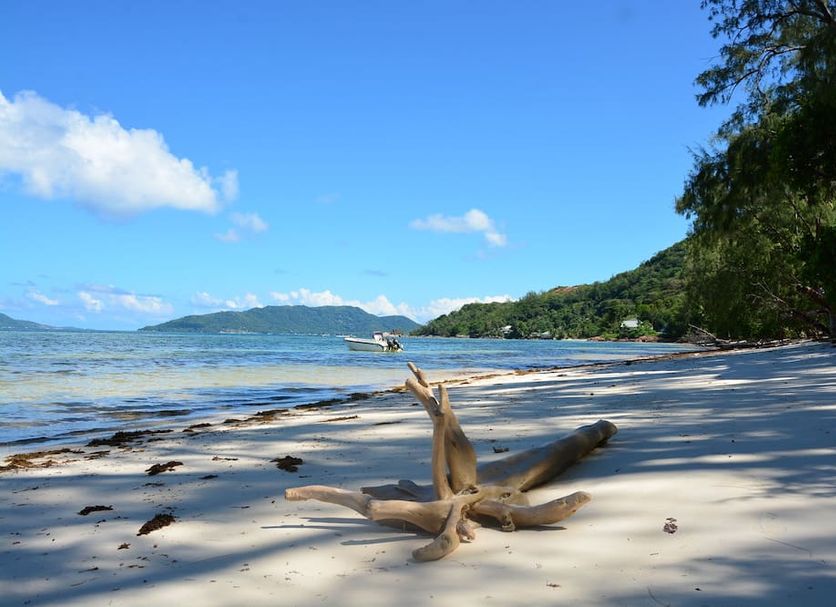 Strand Foto