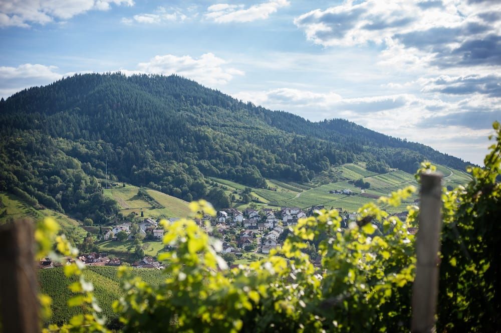 Außenansicht Foto