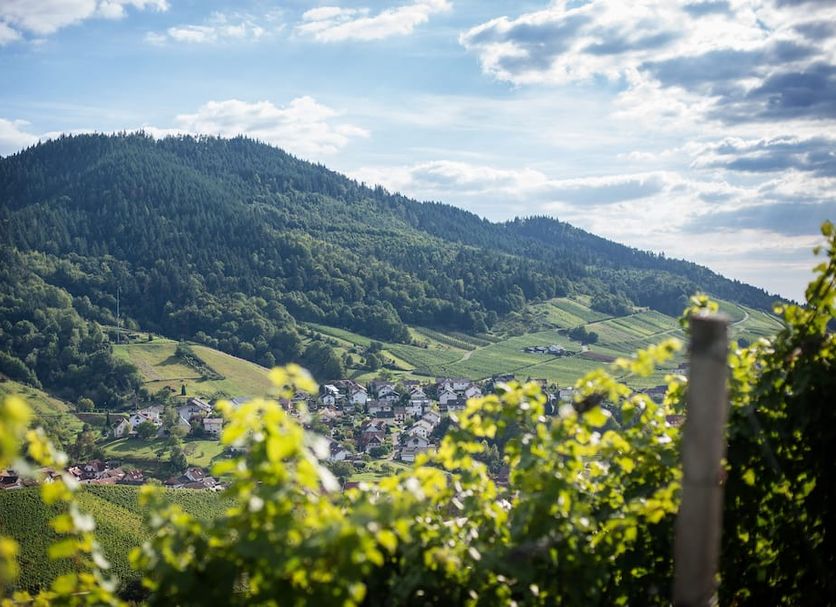 Außenansicht Foto