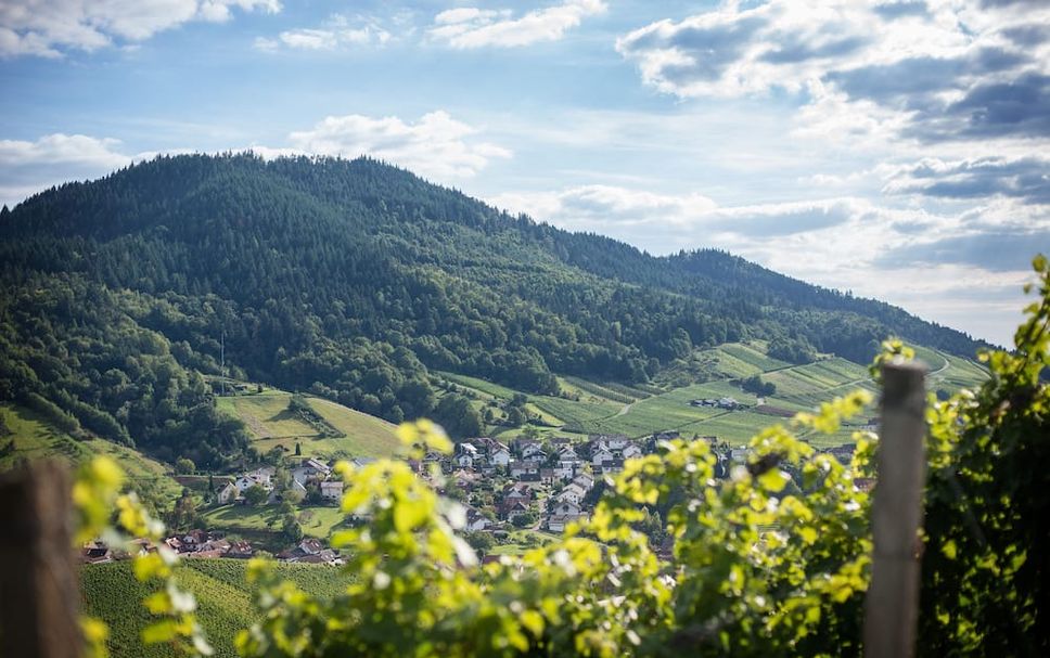 Außenansicht Foto