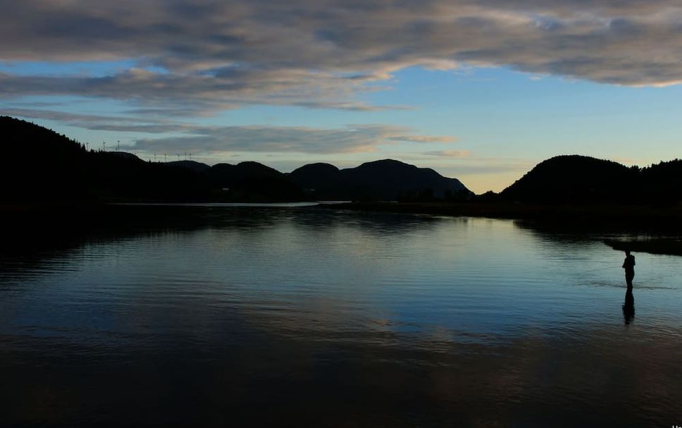 Sonstige Foto