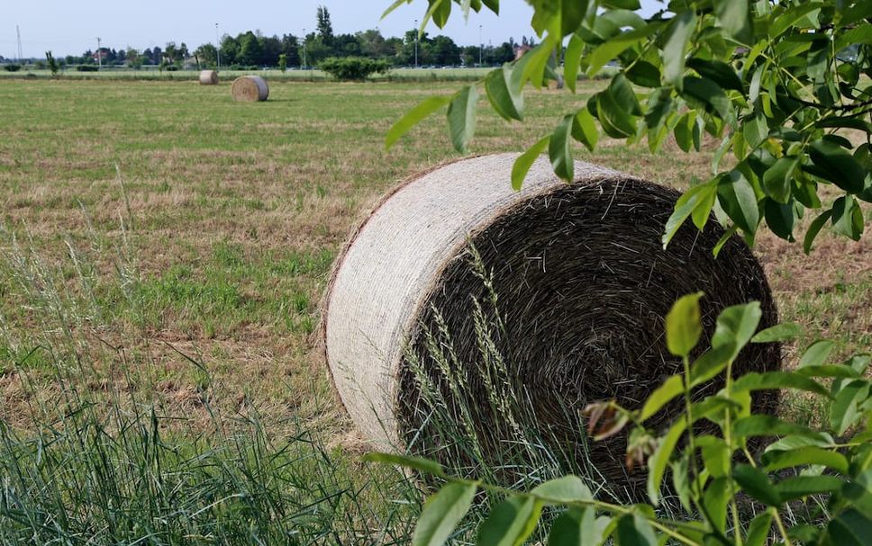 Außenansicht Foto
