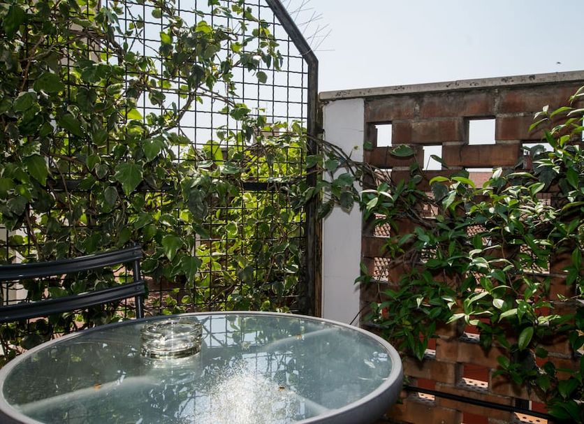Sonstige Foto