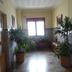 Sonstige