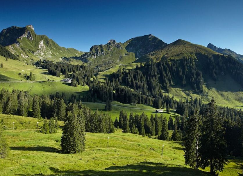 Außenansicht Foto
