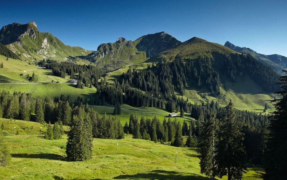 Außenansicht Foto