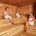 Wellness