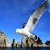 Sonstige