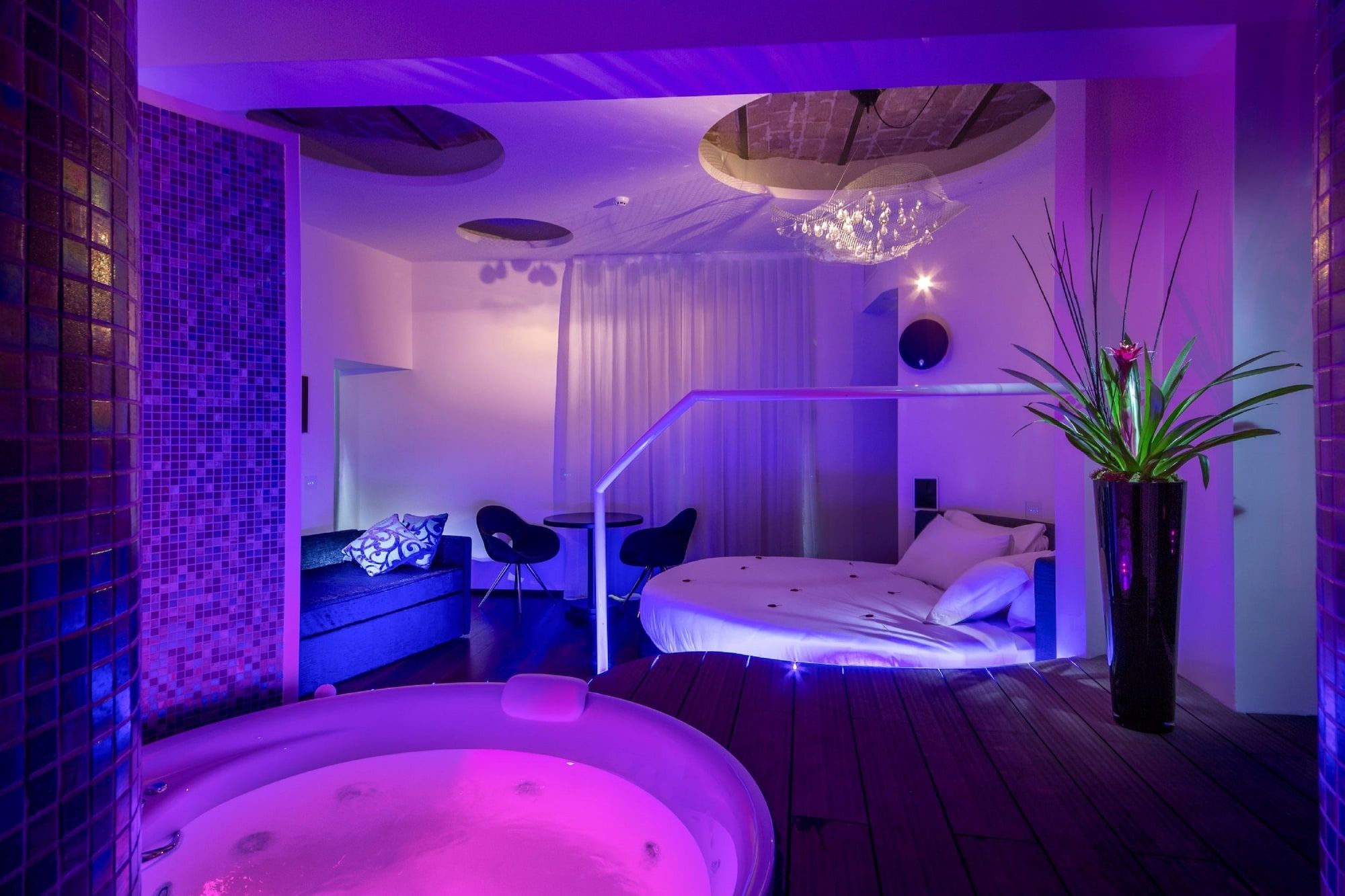 Wellness