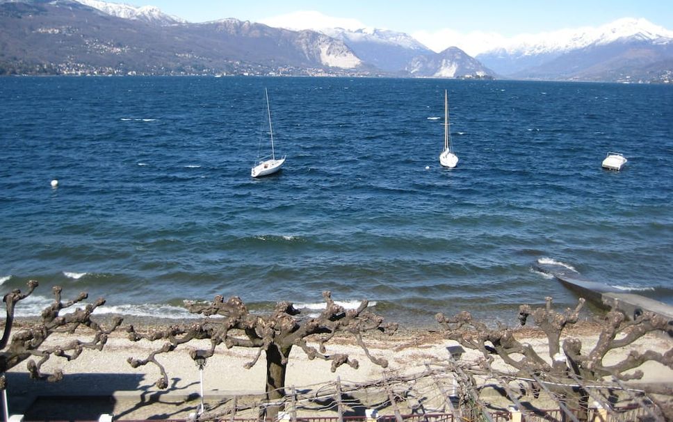 Sonstige Foto