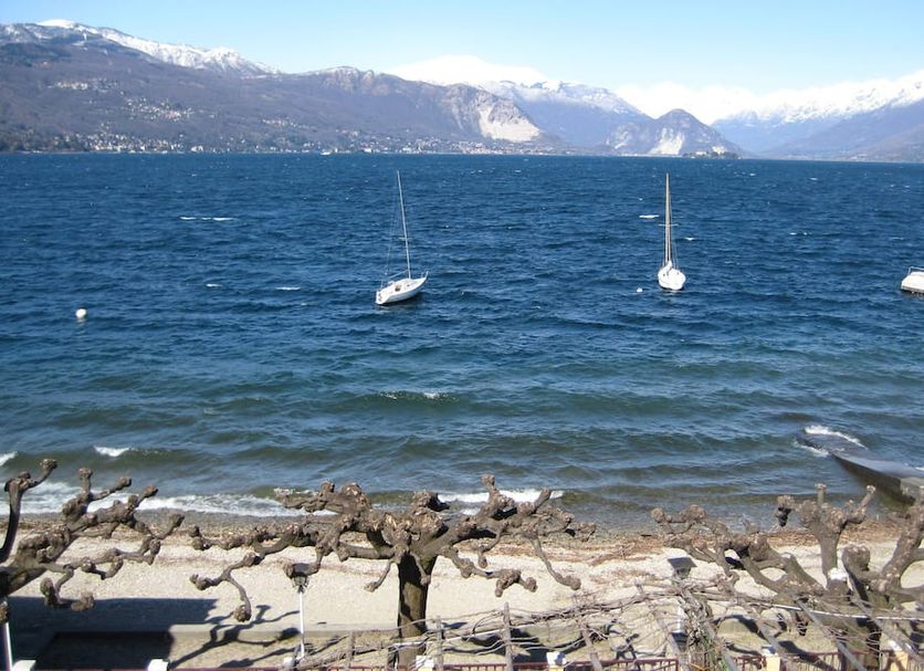 Sonstige Foto