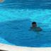 Sonstige