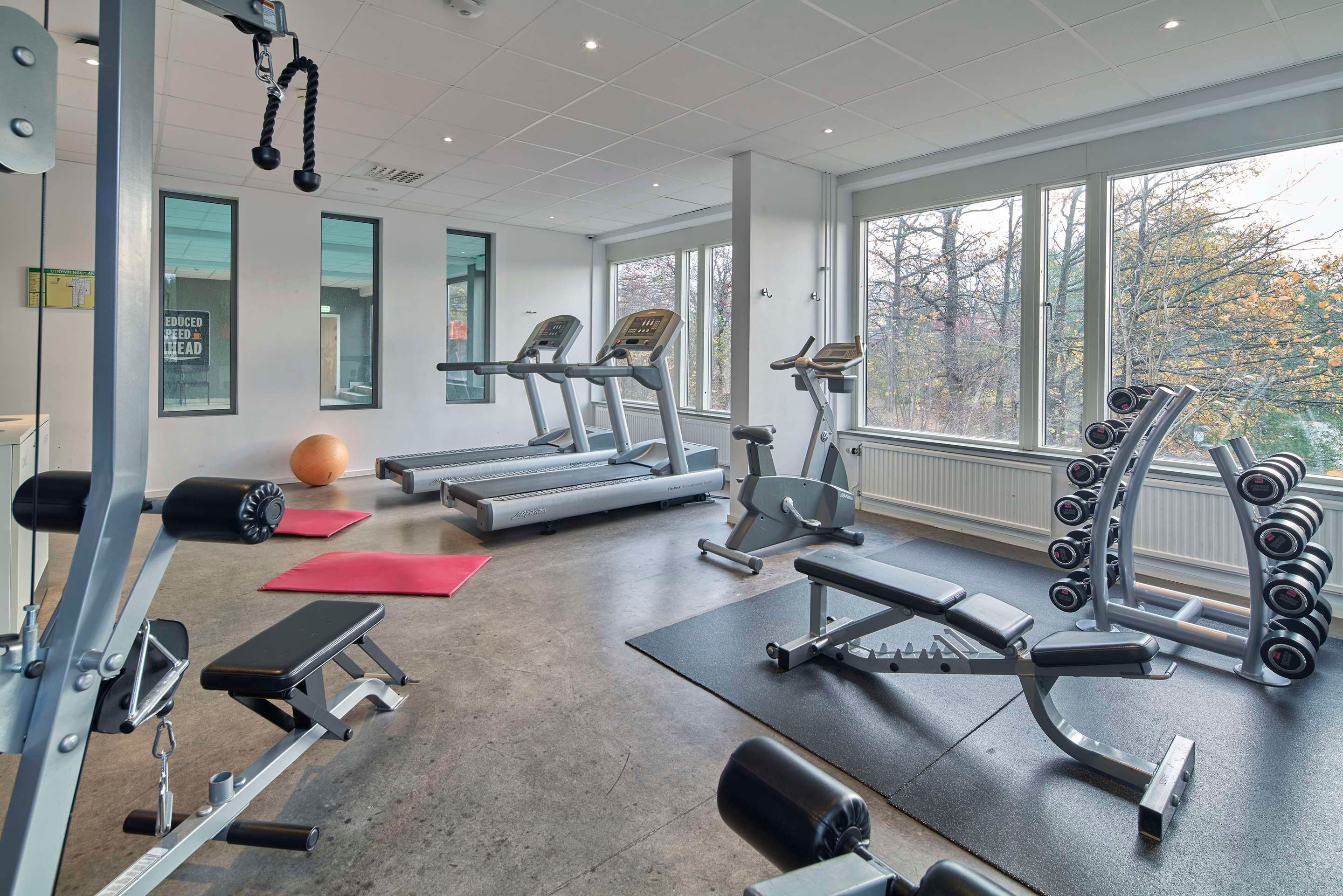 Fitnessbereich
