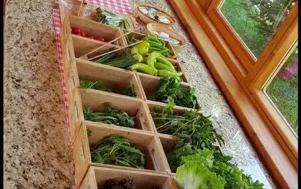 Buffet Foto