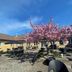 Innenhof