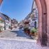 Sonstige
