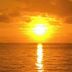 Sonstige