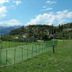 Sonstige