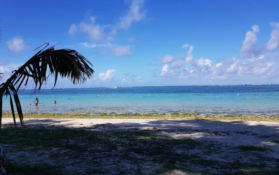 Strand Foto