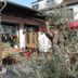 Sonstige