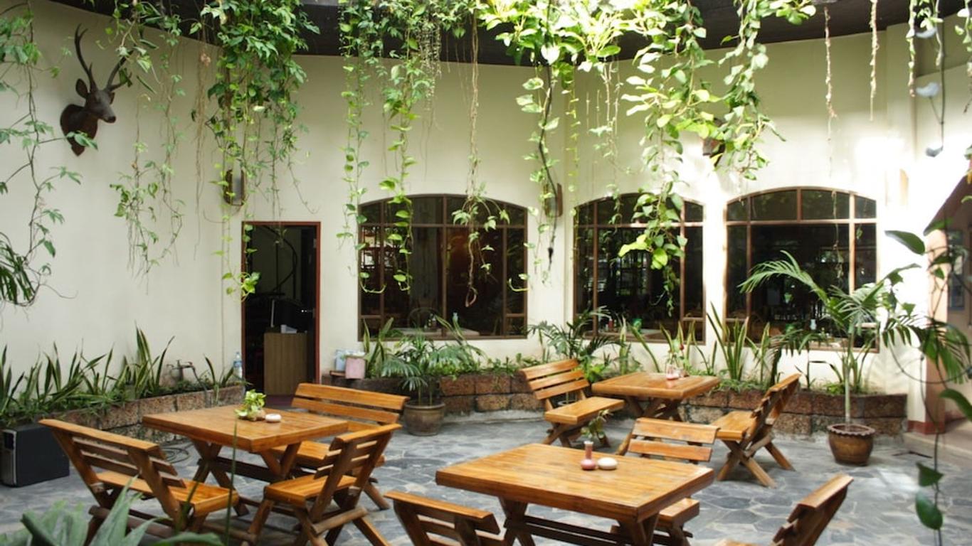 Palm Garden