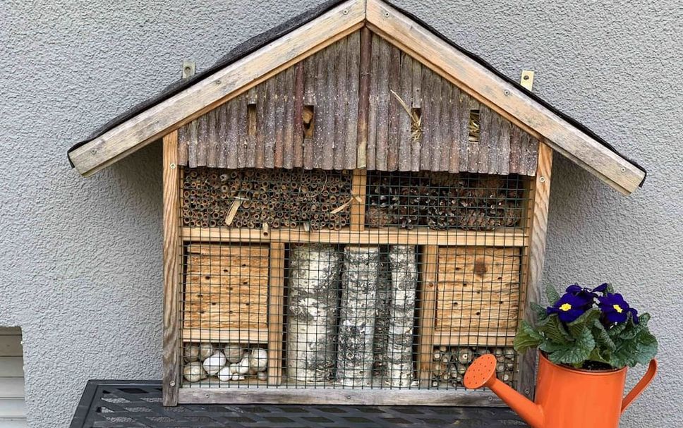 Außenansicht Foto
