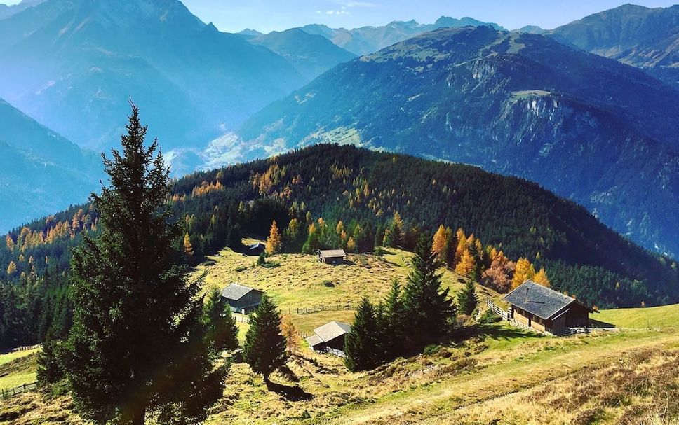Sonstige Foto